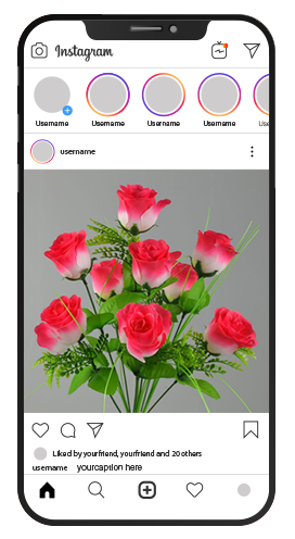 طراحی پست های اینستاگرام و ساخت پست اینستاگرام حرفه ای و زیبا توسط سئوسل با قیمت هزینه و تعرفه مناسب